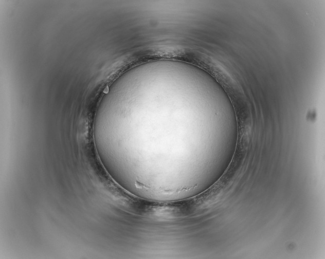 X0000093560268200711051043