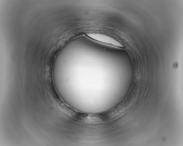 X0000093560270200711051043