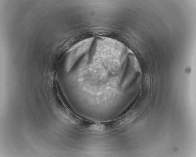 X0000093560271200711051043