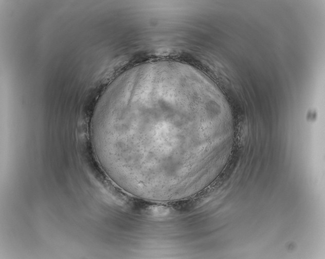 X0000093560272200711051043