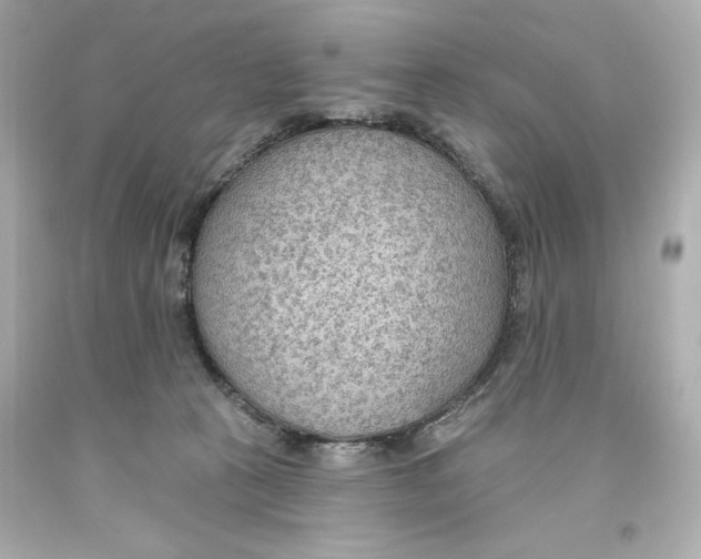 X0000093560273200711051043