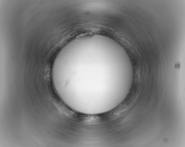 X0000093560274200711051043