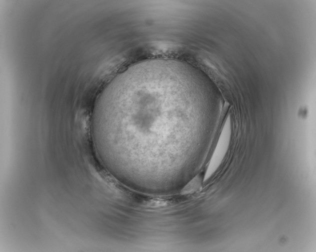 X0000093560276200711051043