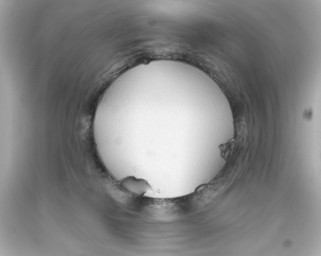 X0000093560278200711051043