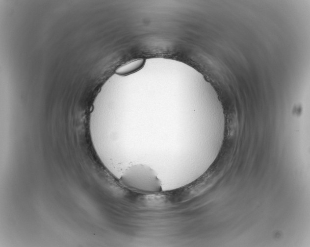 X0000093560279200711051043