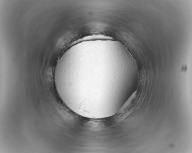 X0000093560280200711051043