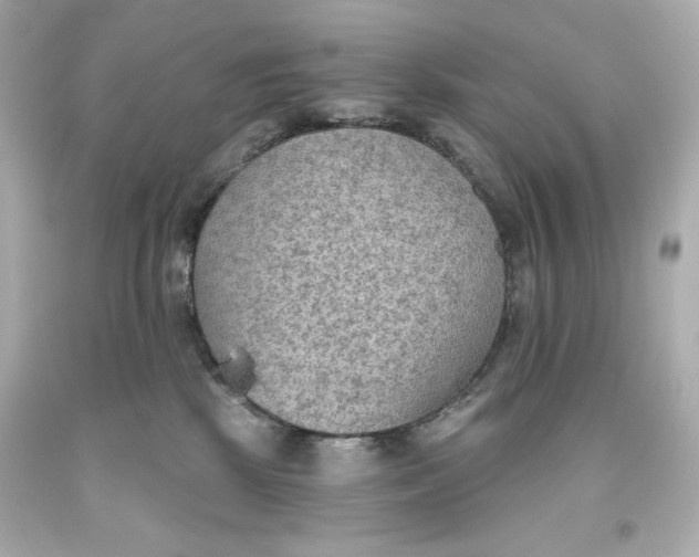 X0000093560281200711051043