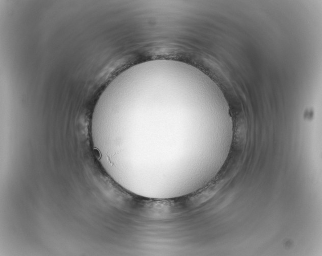 X0000093560282200711051043