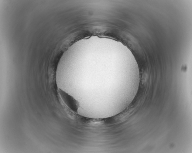 X0000093560283200711051043