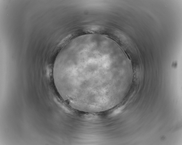 X0000093560284200711051043