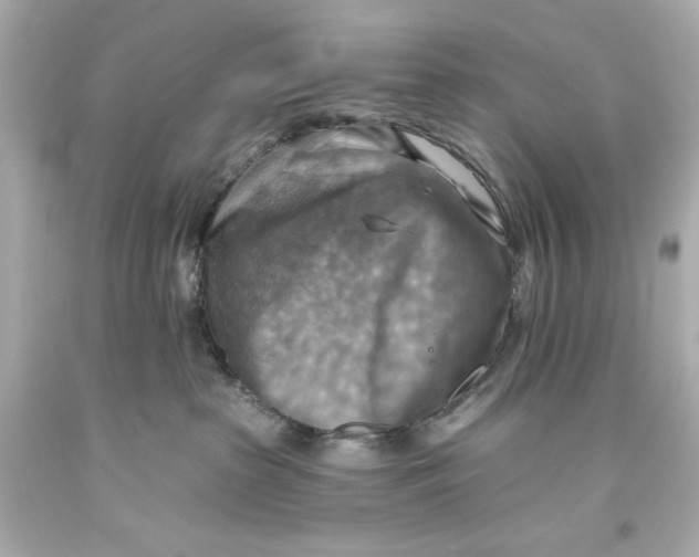 X0000093560285200711051043