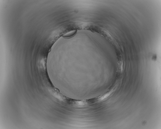 X0000093560286200711051043