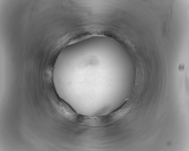 X0000093560288200711051043