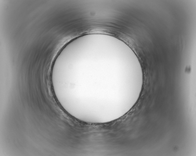 X0000093560289200711051043