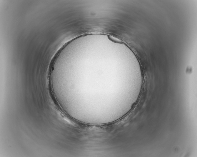 X0000093560290200711051043