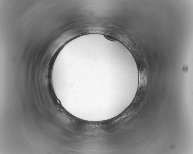 X0000093560291200711051043