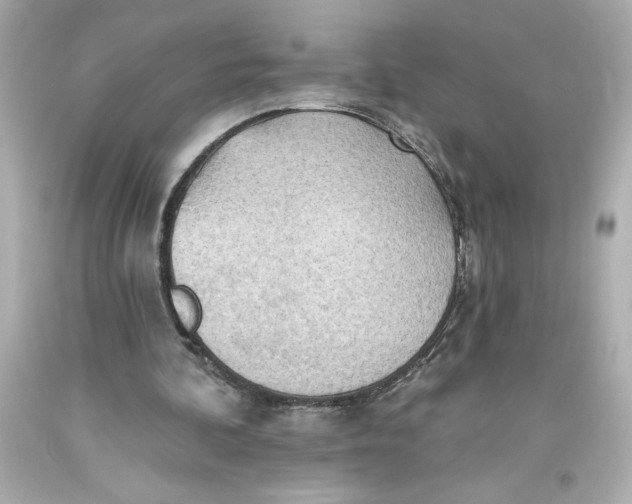 X0000093560292200711051043