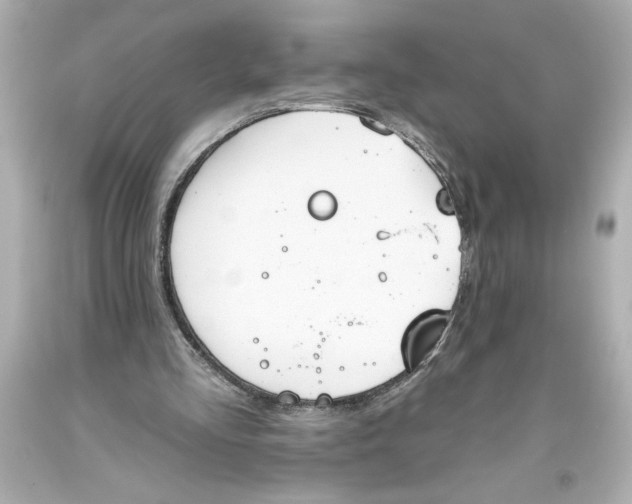 X0000093560293200711051043