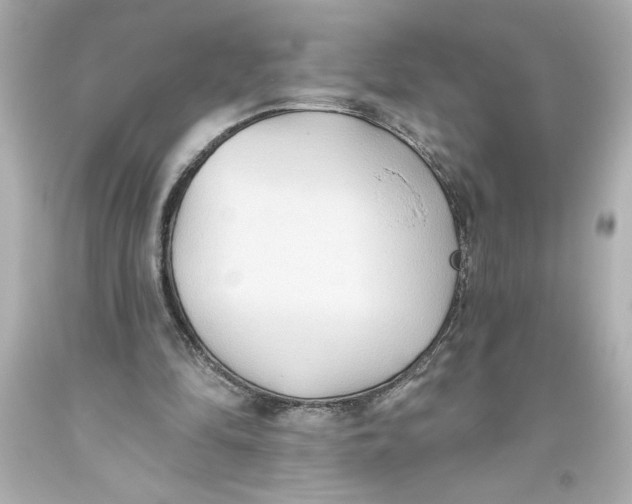 X0000093560294200711051043