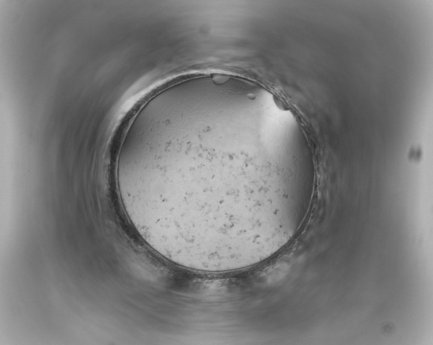 X0000093560295200711051043