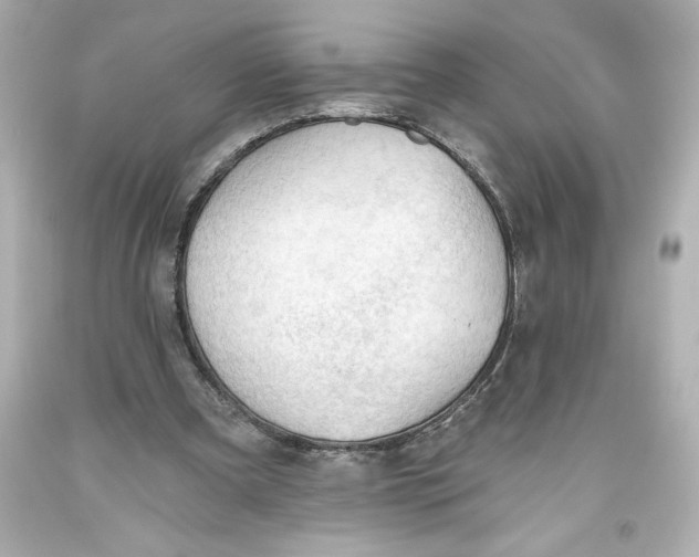 X0000093560297200711051043