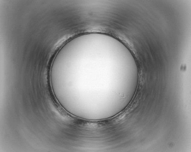 X0000093560298200711051043