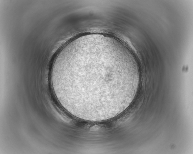 X0000093560299200711051043