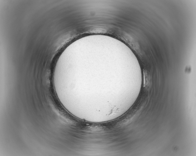 X0000093560300200711051043