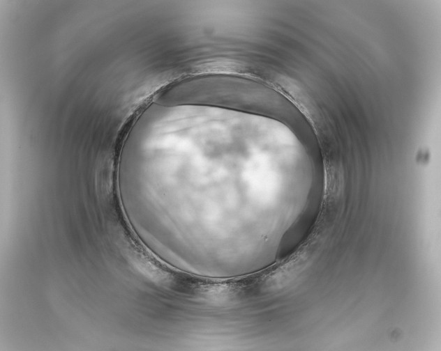 X0000093560301200711051043