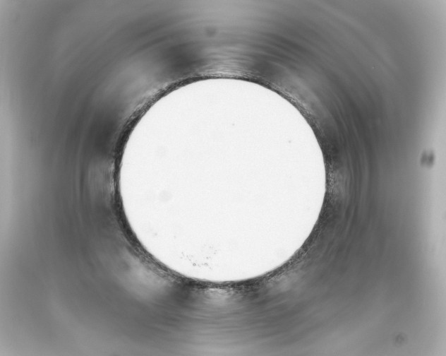 X0000093560302200711051043