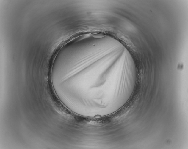 X0000093560303200711051043