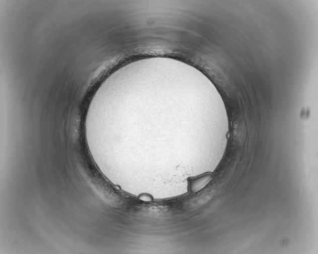 X0000093560304200711051043