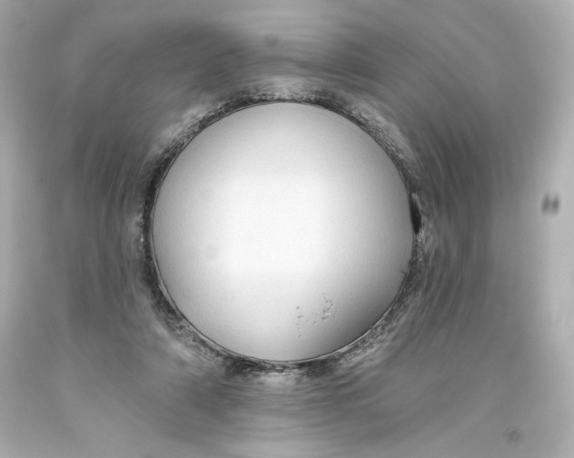 X0000093560306200711051043