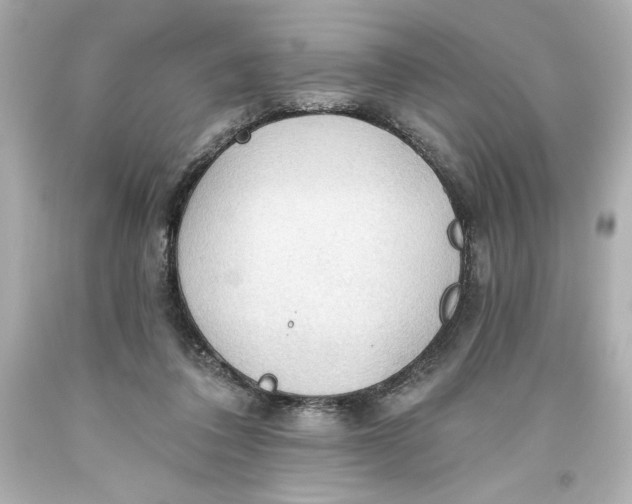 X0000093560308200711051043