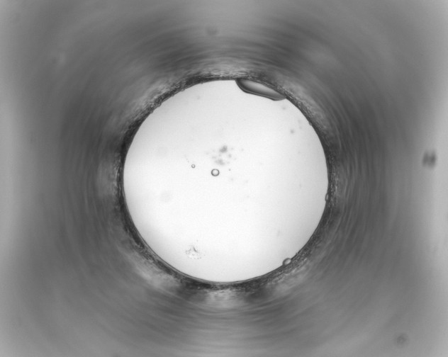 X0000093560309200711051043