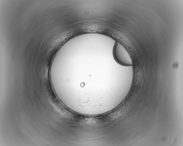 X0000093560310200711051043