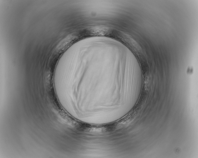 X0000093560314200711051043