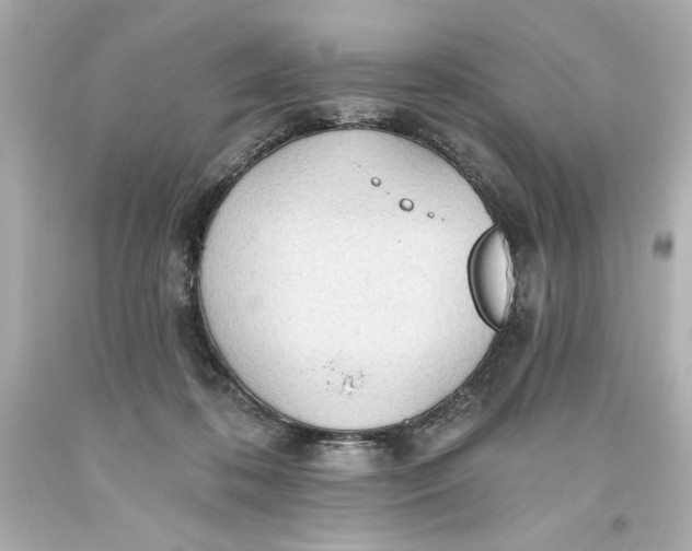 X0000093560316200711051042