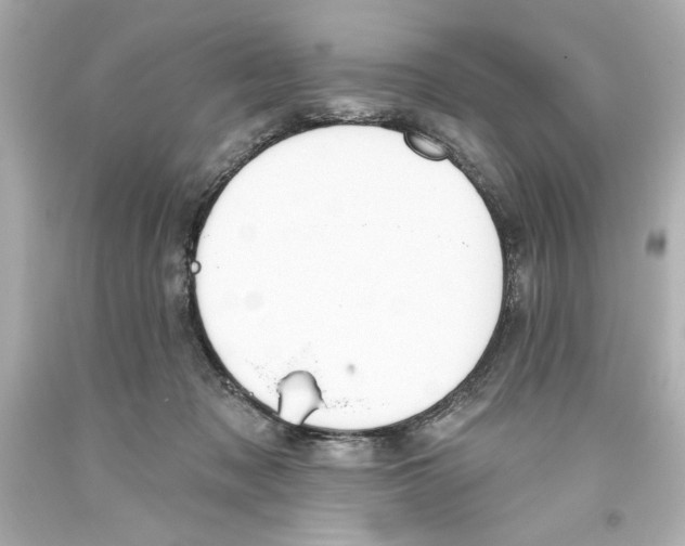 X0000093560317200711051042