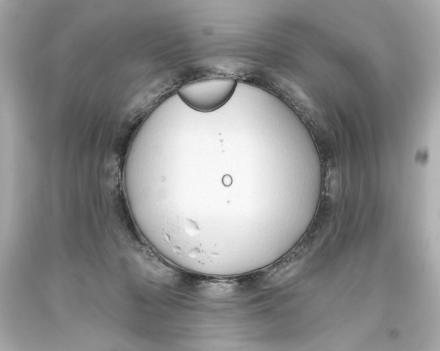 X0000093560318200711051042