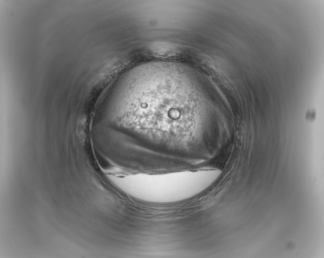 X0000093560319200711051042