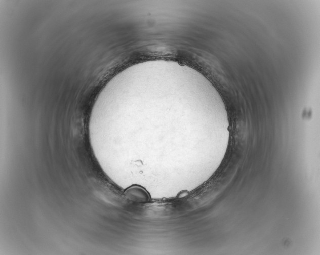 X0000093560320200711051042