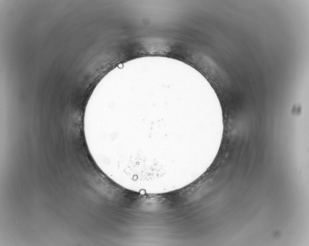 X0000093560321200711051042