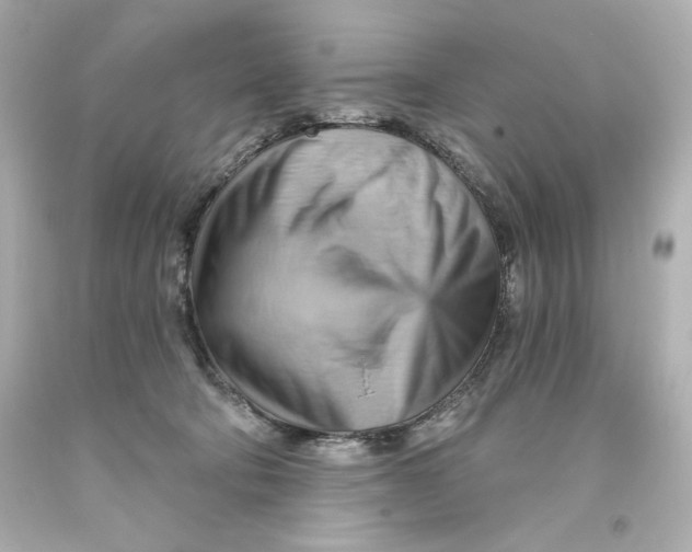 X0000093560322200711051042