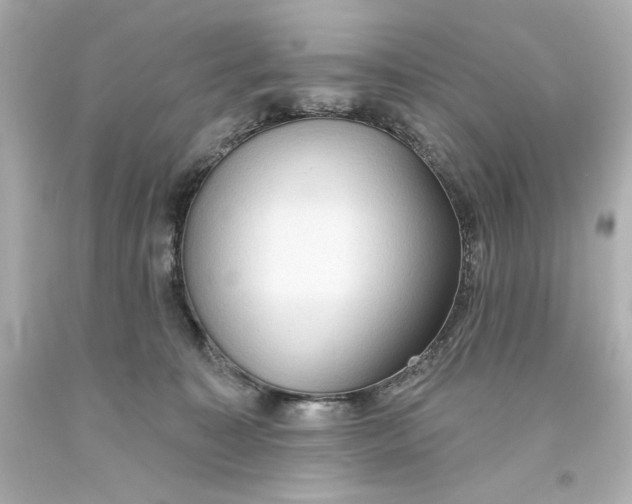 X0000093560323200711051042