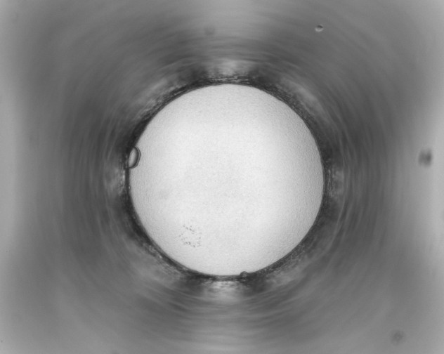 X0000093560324200711051042