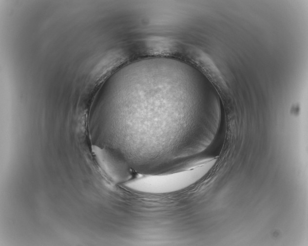 X0000093560325200711051042