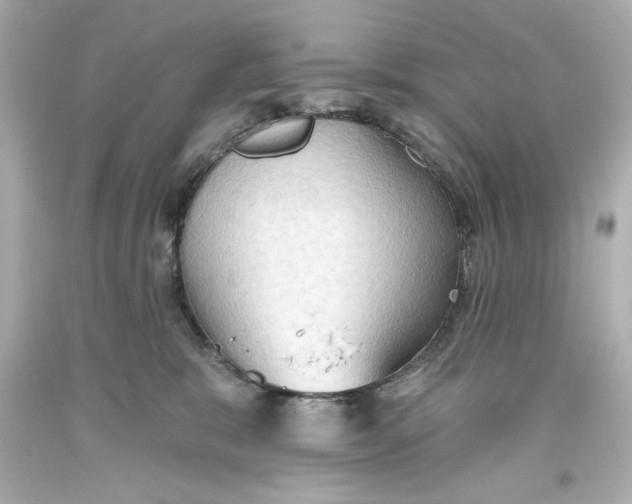 X0000093560327200711051042