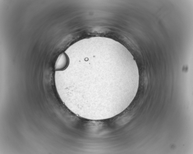 X0000093560328200711051042