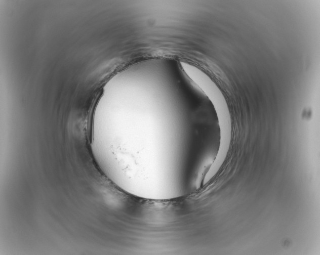 X0000093560329200711051042